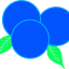 Blueberry Dreams logo