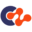 Cyber Networks logo