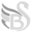 BSLabs logo